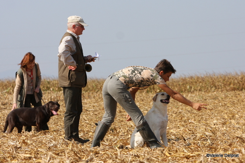 Field Erstein 09 (69).JPG